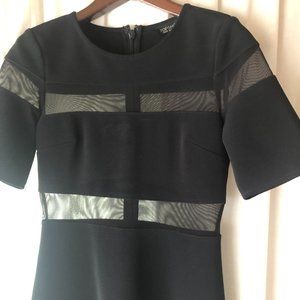 Topshop Mesh Stripe Black Short Sleeve Mini Dress